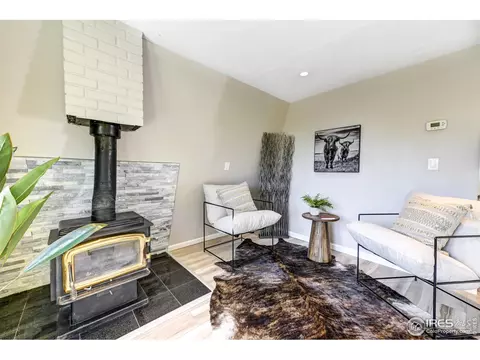 54 Millionaire Dr, Boulder, CO 80302 photo 5