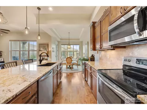 1528 Sandy Ln, Windsor, CO 80550 photo 16