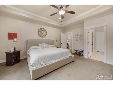 1528 Sandy Ln, Windsor, CO 80550 photo 20