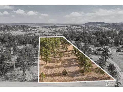 92 Mount Massive Dr, Livermore, CO 80536