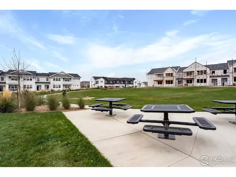 2110 Setting Sun Dr #1, Windsor, CO 80550 photo 34
