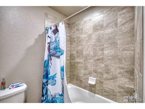 5403 Bexley Dr, Windsor, CO 80550 photo 25