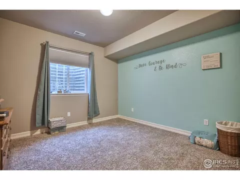 5403 Bexley Dr, Windsor, CO 80550 photo 23