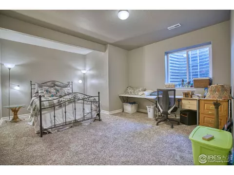 5403 Bexley Dr, Windsor, CO 80550 photo 26
