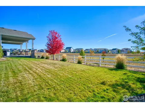 5403 Bexley Dr, Windsor, CO 80550 photo 30