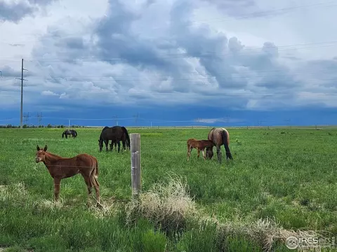 Cr 86, Pierce, CO 80650 photo 2