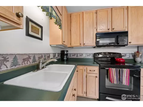 743 Hickory Dr, Lyons, CO 80540 photo 18