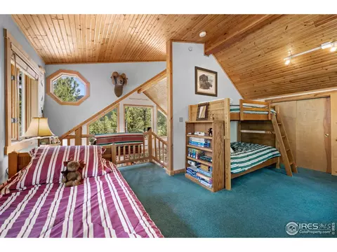 743 Hickory Dr, Lyons, CO 80540 photo 29