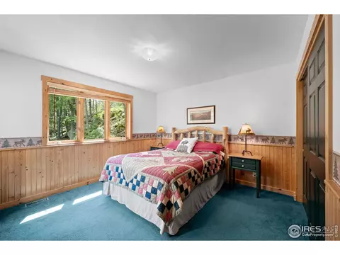 743 Hickory Dr, Lyons, CO 80540 photo 22