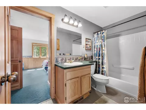 743 Hickory Dr, Lyons, CO 80540 photo 20