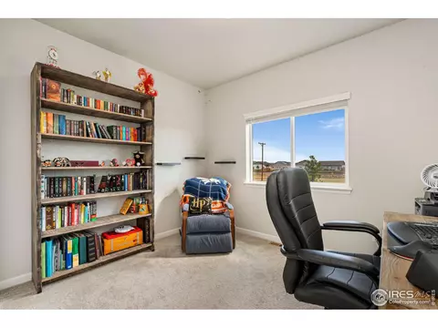 1008 Saddleback Dr, Milliken, CO 80543 photo 19