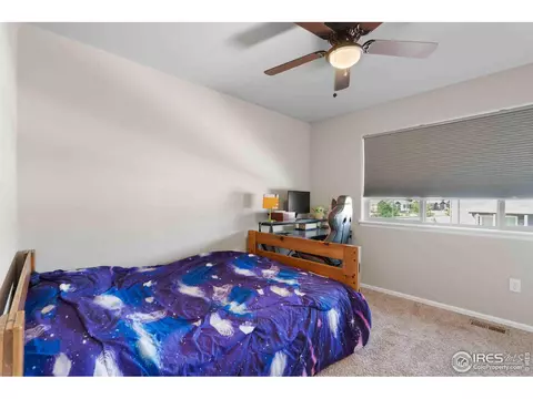 522 Lowland St, Severance, CO 80550 photo 23