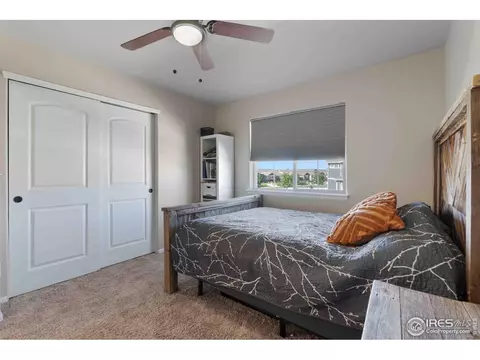 522 Lowland St, Severance, CO 80550 photo 22
