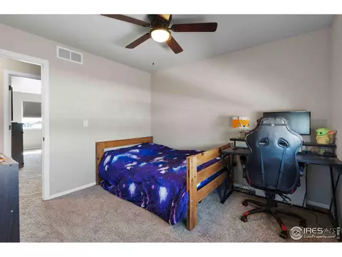 522 Lowland St, Severance, CO 80550 photo 24