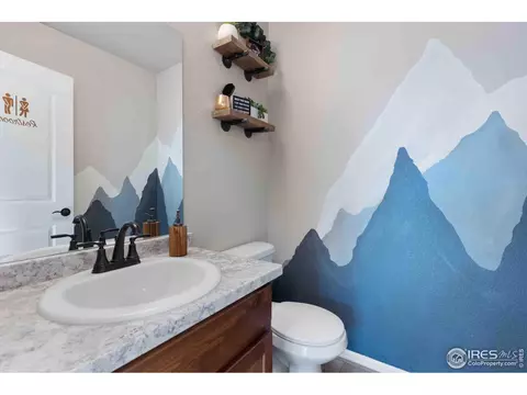522 Lowland St, Severance, CO 80550 photo 14