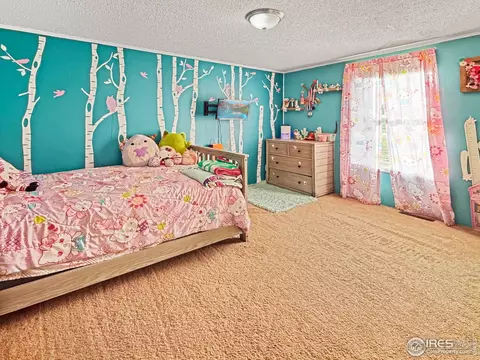 20910 Main St, Padroni, CO 80745 photo 13
