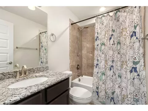 5340 Chantry Dr, Windsor, CO 80550 photo 29