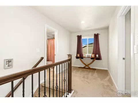 5340 Chantry Dr, Windsor, CO 80550 photo 17