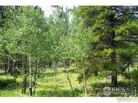 246 Tahosa Park South Rd, Allenspark, CO 80510