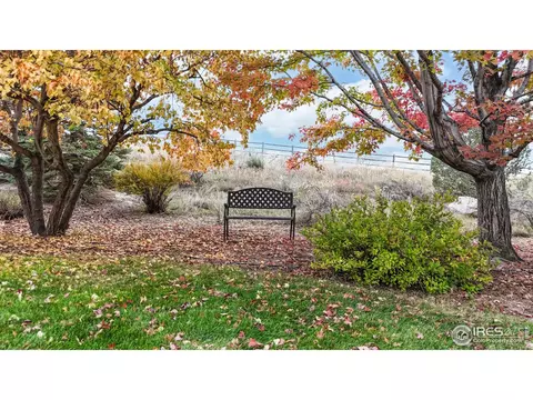 2153 Meander Rd, Windsor, CO 80550 photo 33