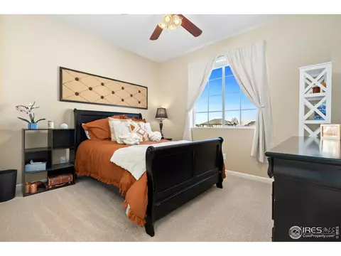 9127 Forest St, Longmont, CO 80504 photo 23
