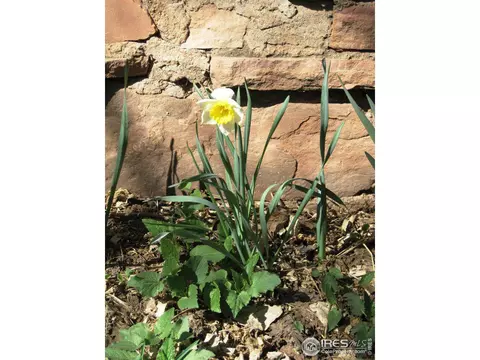 213 Evans St, Lyons, CO 80540 photo 2
