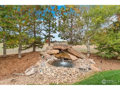 37152 Dickerson Ct, Severance, CO 80550 photo 8