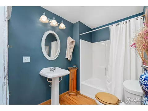 504 Oak St, Windsor, CO 80550 photo 17