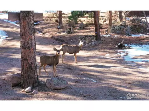 0 Pima Rd, Lyons, CO 80540