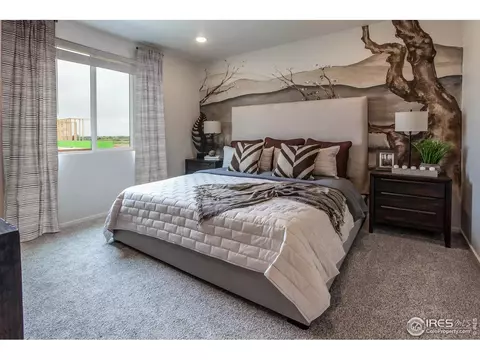 2078 Autumn Moon Dr #1, Windsor, CO 80550 photo 33