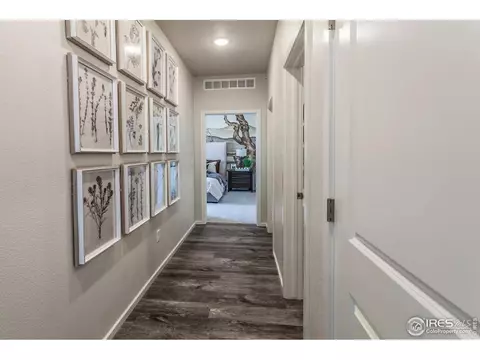 2078 Autumn Moon Dr #1, Windsor, CO 80550 photo 32