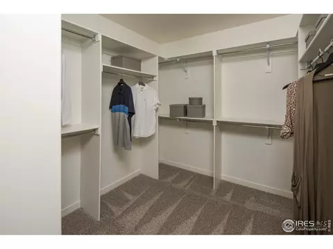 2128 Glean Ct, Windsor, CO 80550 photo 15