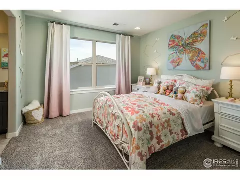 2128 Glean Ct, Windsor, CO 80550 photo 10
