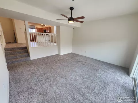 909 Milner Pass Rd, Severance, CO 80550 photo 10