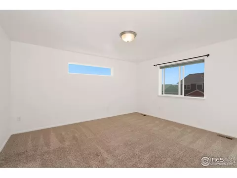 905 Barasingha St, Severance, CO 80550 photo 23