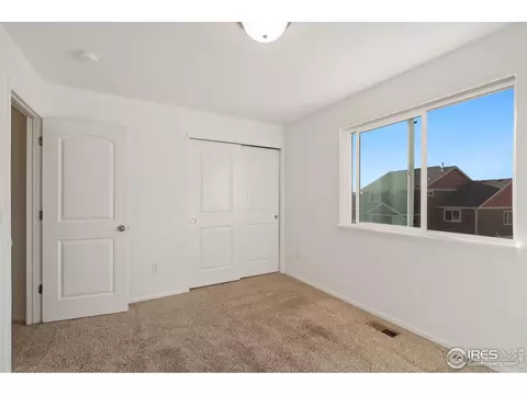 905 Barasingha St, Severance, CO 80550 photo 29