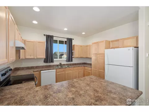 905 Barasingha St, Severance, CO 80550 photo 11