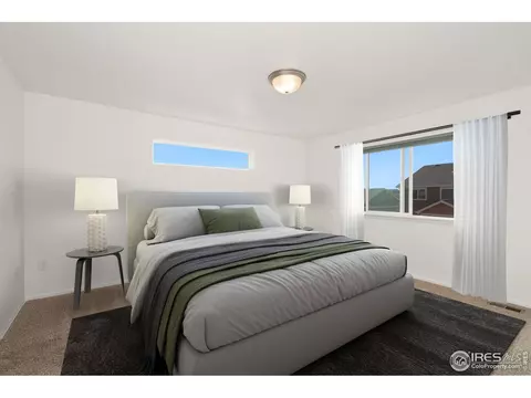 905 Barasingha St, Severance, CO 80550 photo 22