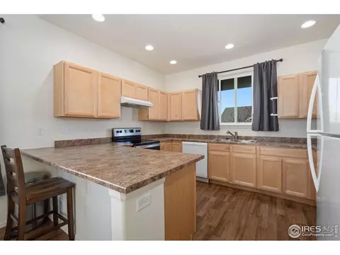 905 Barasingha St, Severance, CO 80550 photo 10