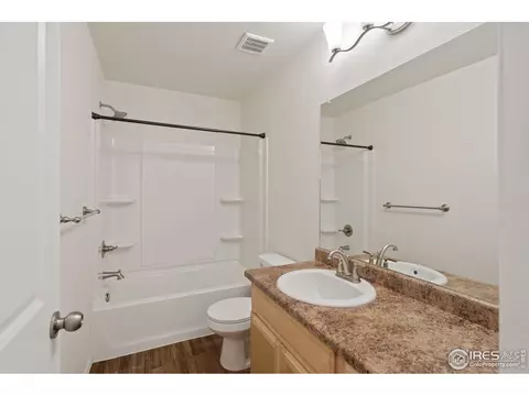 905 Barasingha St, Severance, CO 80550 photo 32
