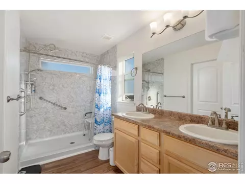 905 Barasingha St, Severance, CO 80550 photo 25