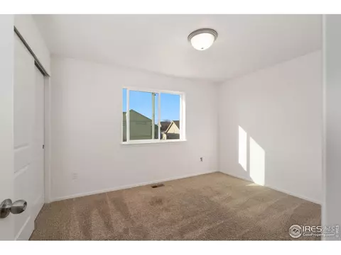905 Barasingha St, Severance, CO 80550 photo 28
