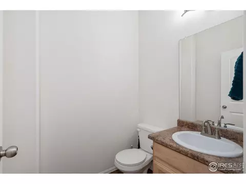 905 Barasingha St, Severance, CO 80550 photo 19