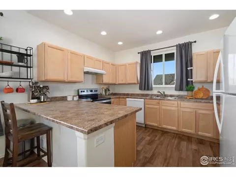 905 Barasingha St, Severance, CO 80550 photo 9