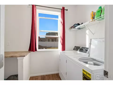 905 Barasingha St, Severance, CO 80550 photo 21