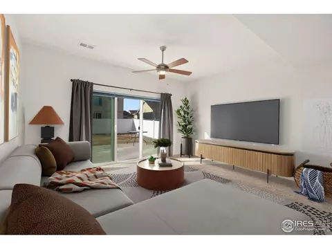 905 Barasingha St, Severance, CO 80550 photo 16