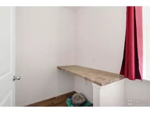 905 Barasingha St, Severance, CO 80550 photo 20