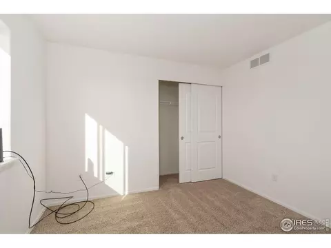 905 Barasingha St, Severance, CO 80550 photo 31