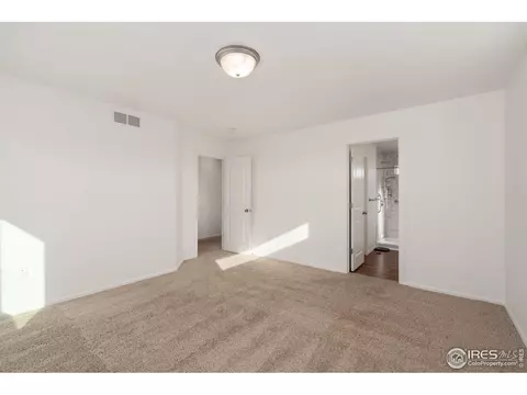 905 Barasingha St, Severance, CO 80550 photo 24