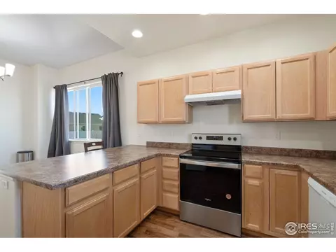 905 Barasingha St, Severance, CO 80550 photo 12